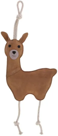 lama 1.webp