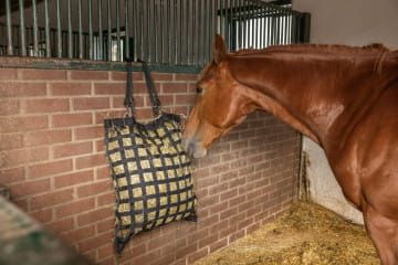 czarny, 68 x 55 x 18 cm,  1.jpg