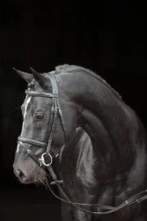 Classic, czarny 2.webp