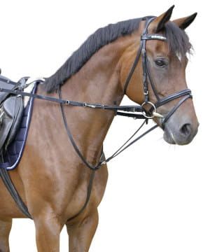 Wodze Thiedermann 2.jpg