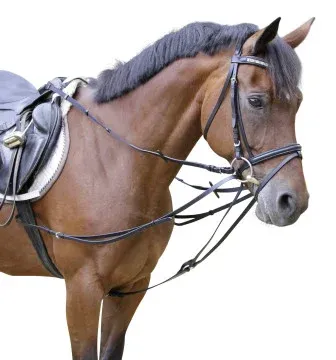 Wypinacze trójkątne 2.webp