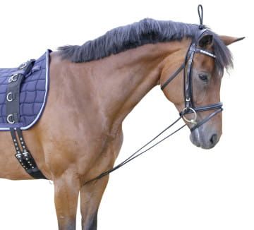 Czambon gumowy 2.jpg