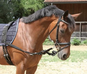 Wypinacze parciane.jpg