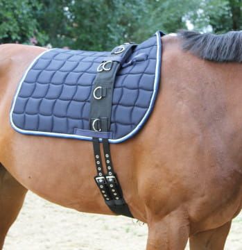 Pas do lonżowania 3 — kopia.jpg