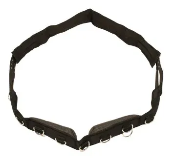 Pas do lonżowania 2 — kopia.webp