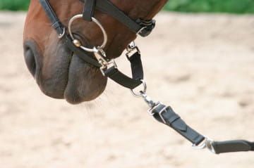 Mostek do lonżowania.jpeg