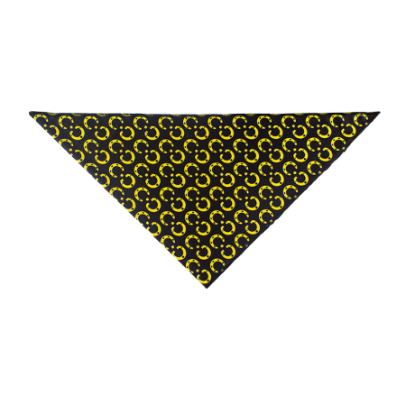 CHU_12_1603179817.png