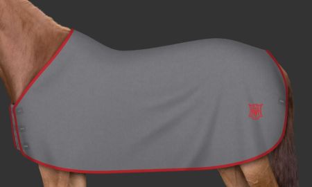 szara - logo czerwona 163.JPG