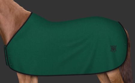 zielona - logo czarne 102.JPG