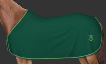 zielona - logo klasyczny zielony 193.JPG