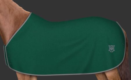 zielona - logo szare 106.JPG