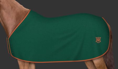 zielona - logo terra 117.JPG