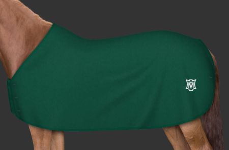 zielona - logo zielone 107.JPG