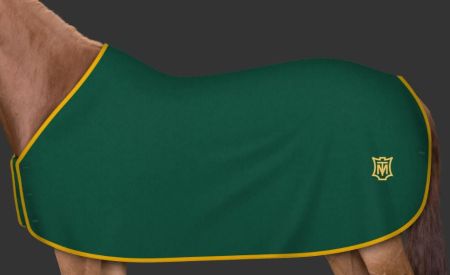 zielona - logo żółte 149.JPG