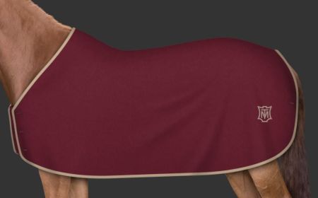 burgund - logo beż 142.JPG