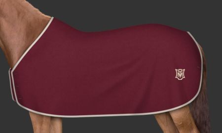 burgund - logo szampański 111.JPG