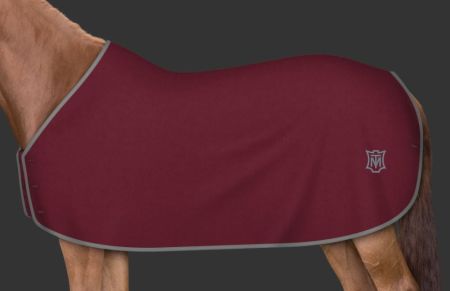 burgund - logo szare 106.JPG