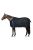 Glasgow 1.jpg