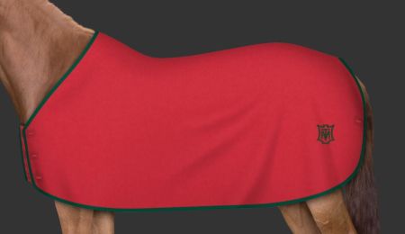 czerwona - lamówka zielona 107.JPG