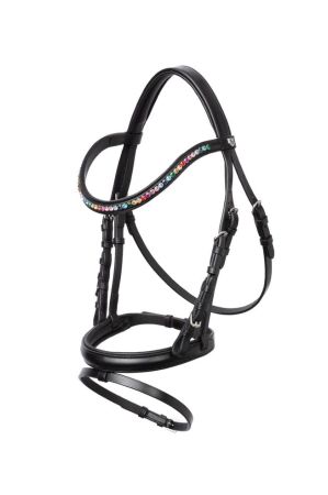 Rainbow Dash Pony Bridle 1.jpg