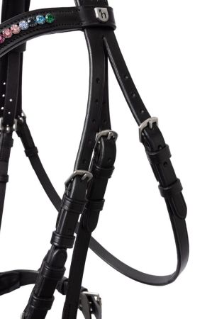 Rainbow Dash Pony Bridle 2.jpg