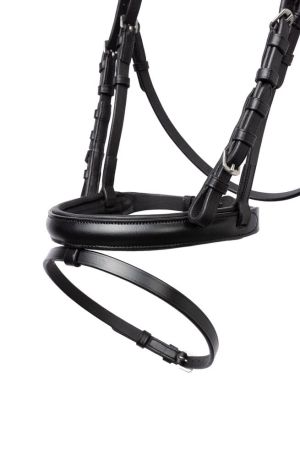 Rainbow Dash Pony Bridle 3.jpg