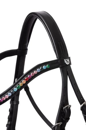 Rainbow Dash Pony Bridle 4.jpg