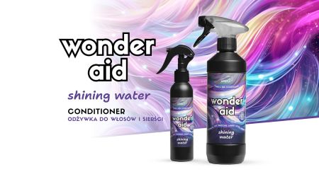 WONDER_AID_shining_water_HEAD.jpg