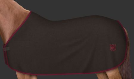 brąz - burgund (104).JPG