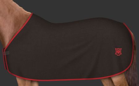 brąz - czerwony (163).JPG