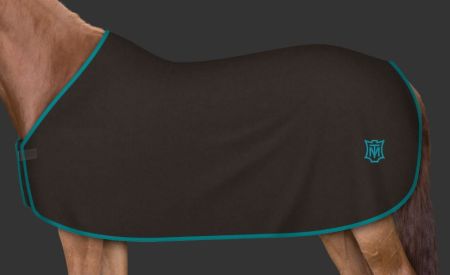 brąz - petrol (158).JPG