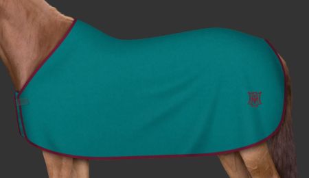 petrol - burgund (104).JPG