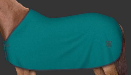 petrol - grafit (132).JPG