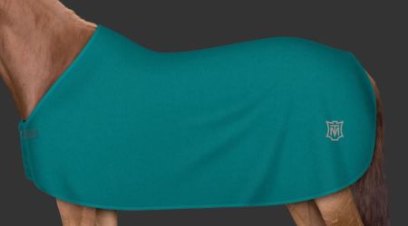 petrol - petrol (158).JPG