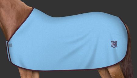 jasnoniebieska - jeżyna (160).JPG