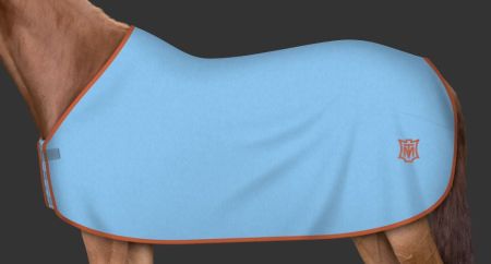 jasnoniebieska - terra (117).JPG