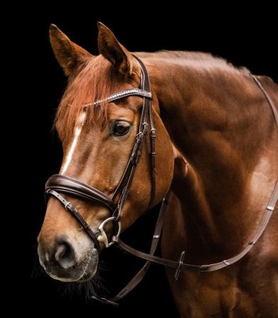 Essential brąz 4.jpg