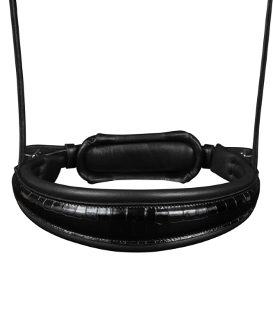 Double Bridle Magic 2.png