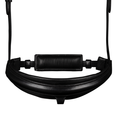 Line Bridle Favorite 2.png