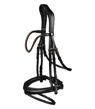 Line Bridle Favorite.png