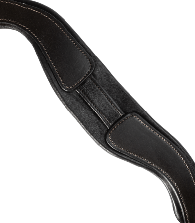 X-Line Bridle Goldheart 3.png