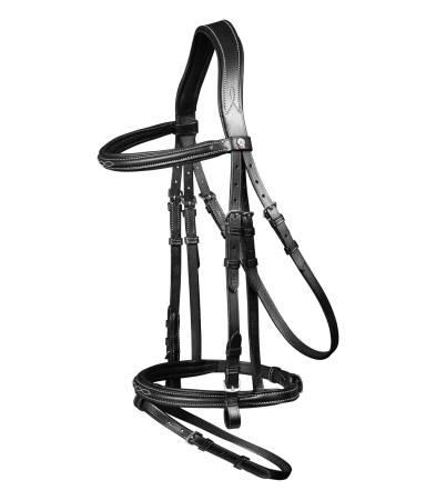 Santander czane 1.png