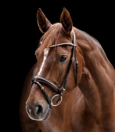 Clincher brąz 4.jpg