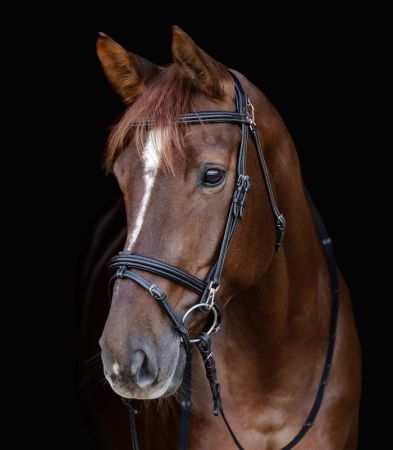 X-Line bridle Work czarne 2.jpg