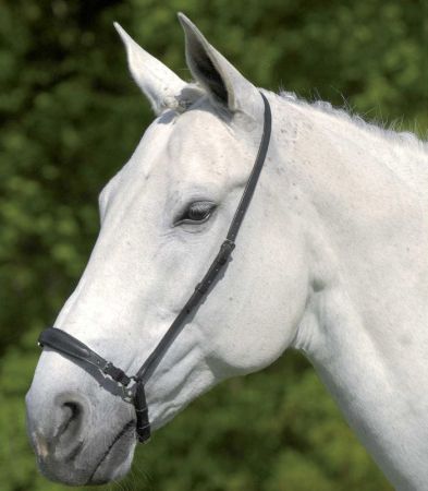 Drop Noseband, adjustable 2.jpg