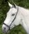 Drop Noseband, adjustable 2.jpg