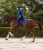 saphire blue 4.jpg