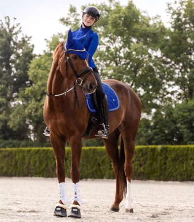 saphire blue 6.jpg