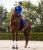 saphire blue 6.jpg