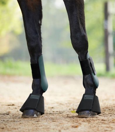 Basic tendon zielone 1.jpg